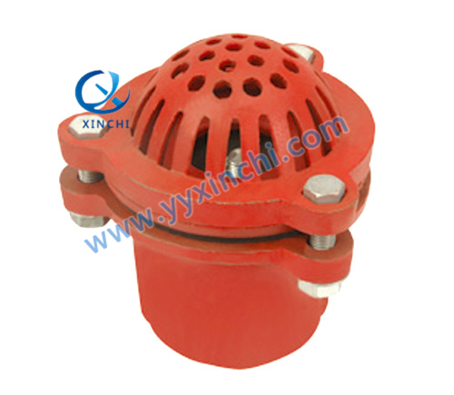 Foot Valve